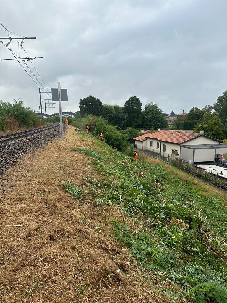 Espaces verts entreprise